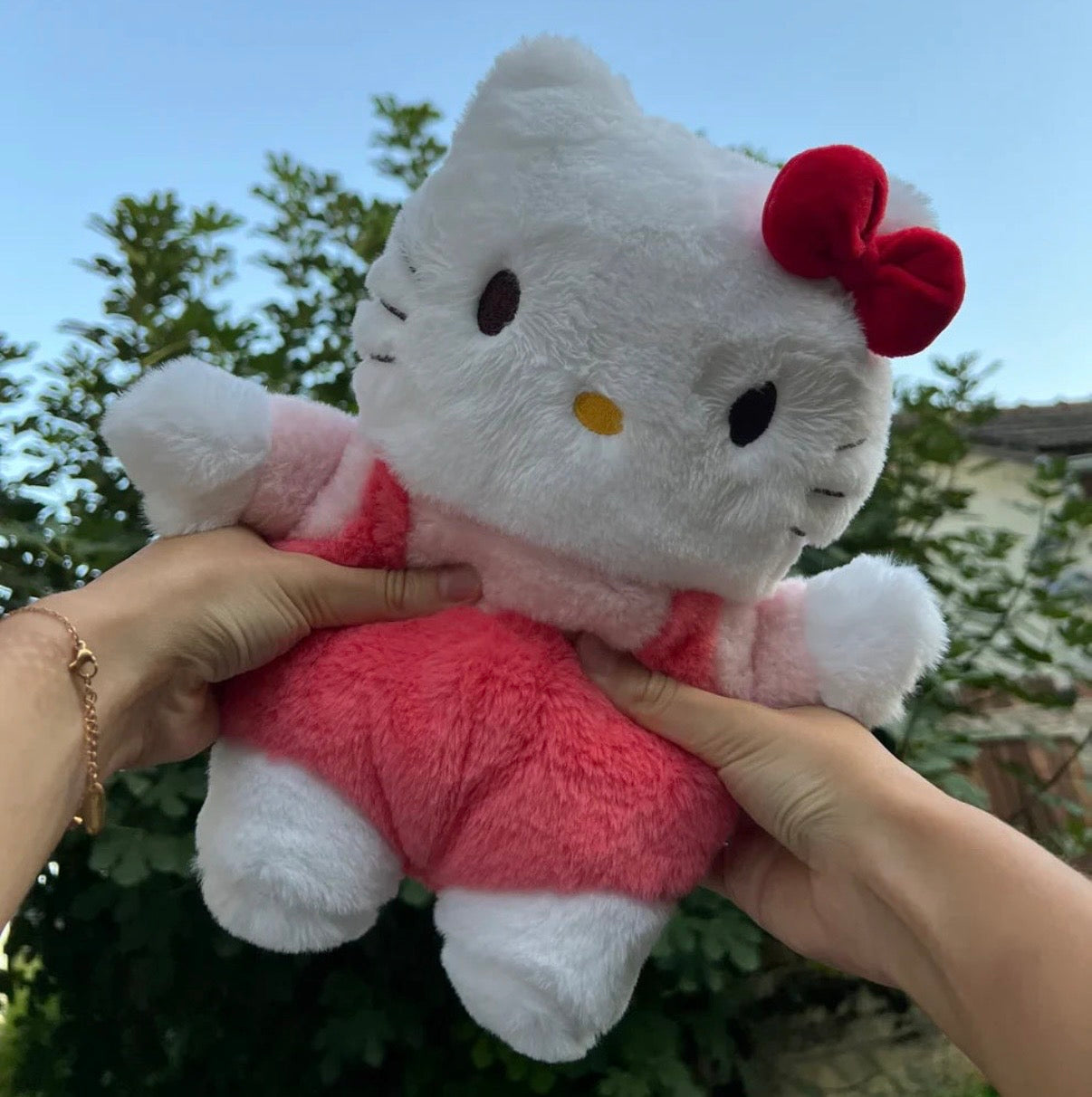 Hot Plush-Peluche Termico